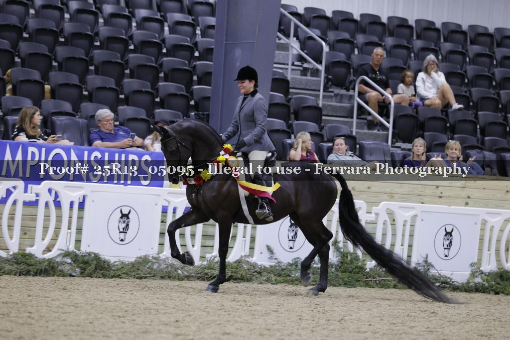 Proof Number 25R13_05095