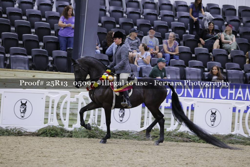 Proof Number 25R13_05097