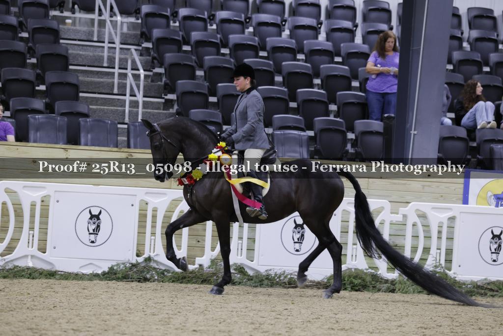 Proof Number 25R13_05098