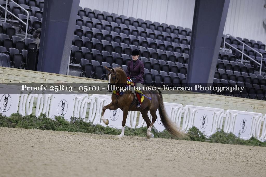 Proof Number 25R13_05101