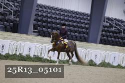 25R13_05101 thumbnail