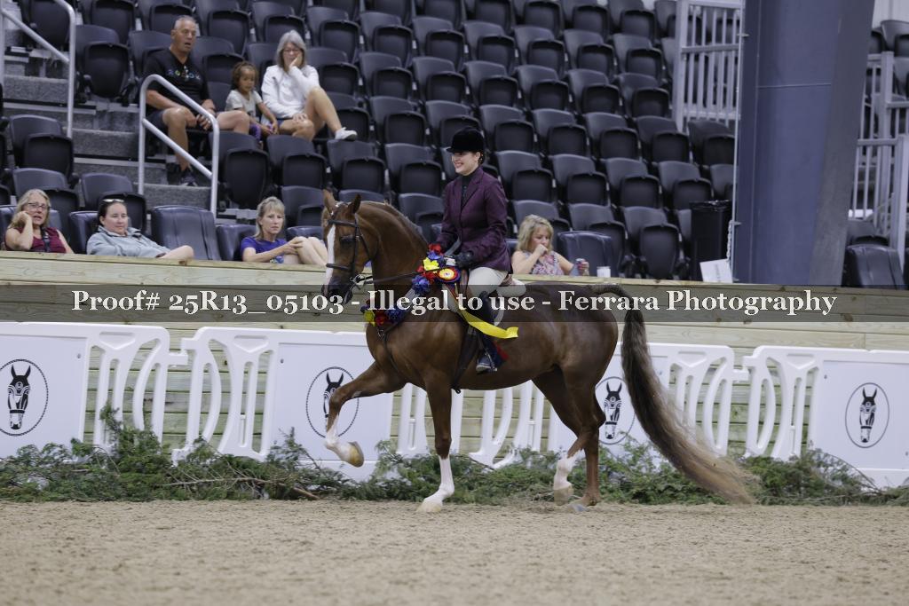 Proof Number 25R13_05103