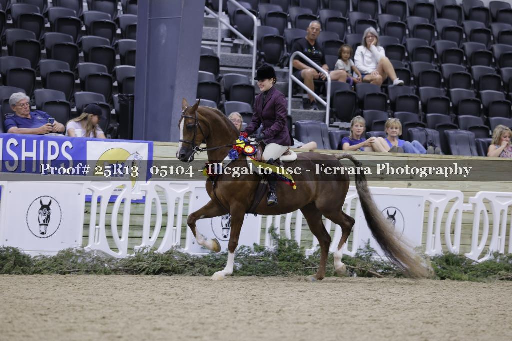 Proof Number 25R13_05104
