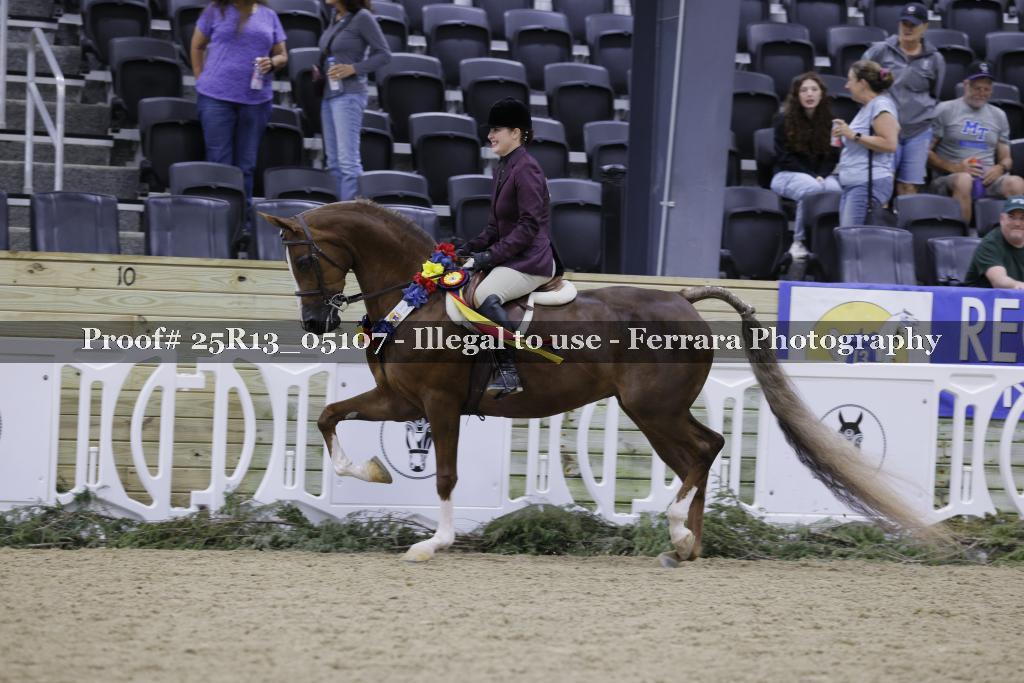 Proof Number 25R13_05107
