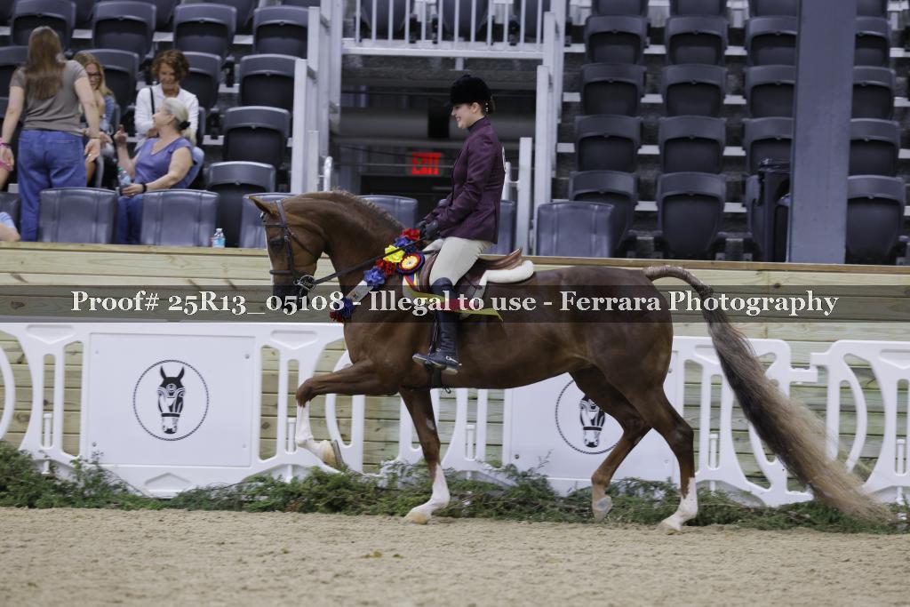 Proof Number 25R13_05108