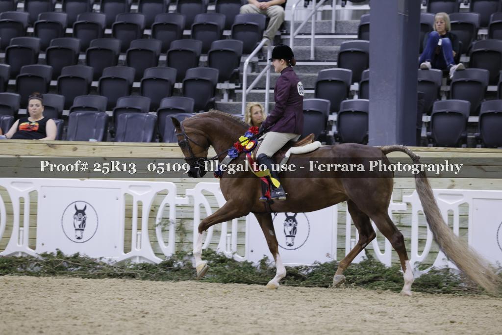 Proof Number 25R13_05109