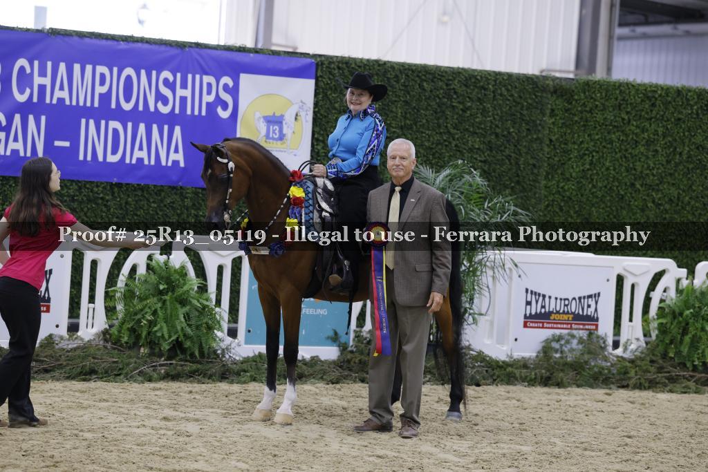 Proof Number 25R13_05119