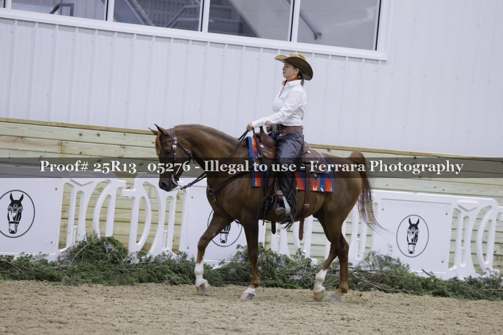 Proof Number 25R13_05276