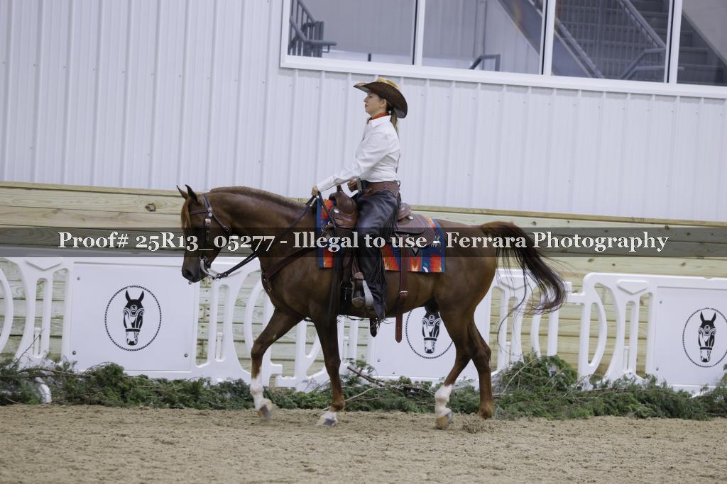 Proof Number 25R13_05277
