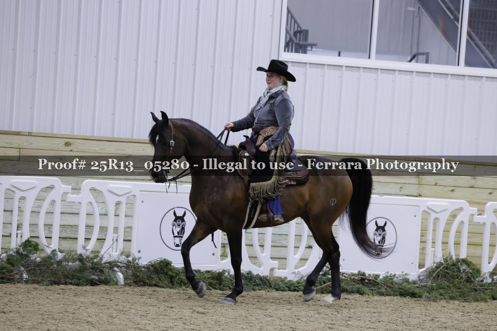 Proof Number 25R13_05280