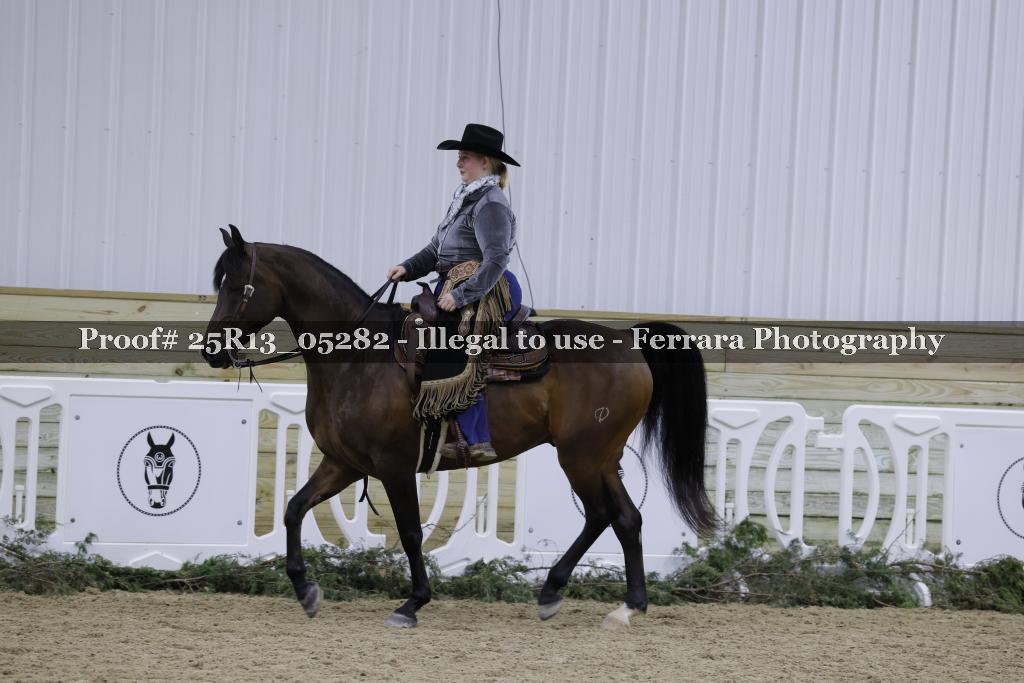 Proof Number 25R13_05282