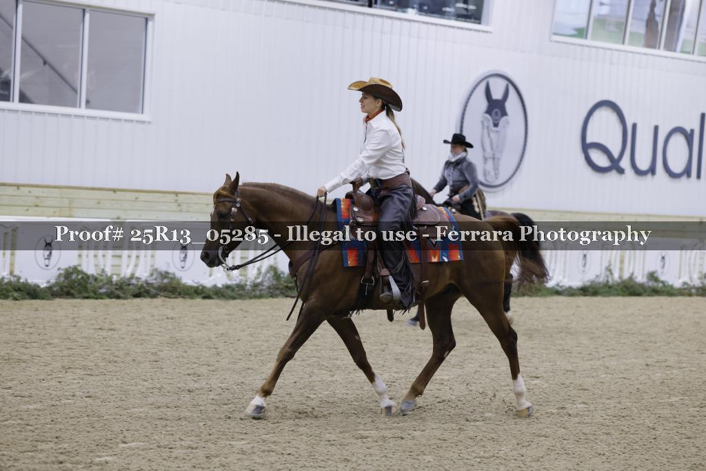 Proof Number 25R13_05285