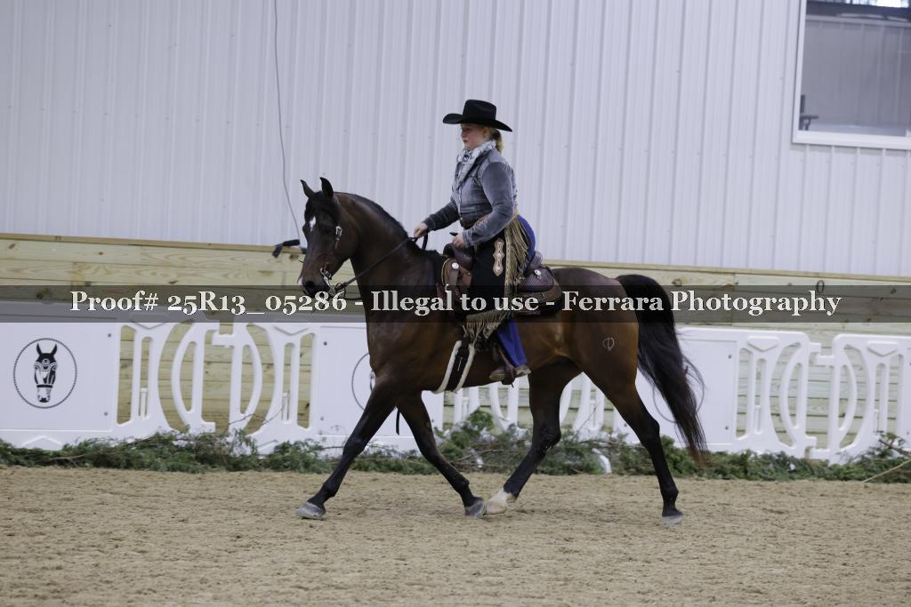 Proof Number 25R13_05286