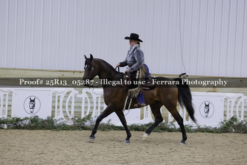 Proof Number 25R13_05287