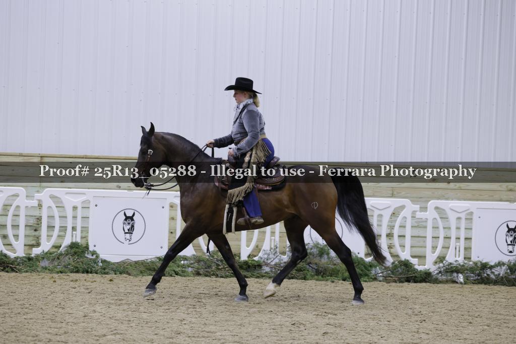 Proof Number 25R13_05288