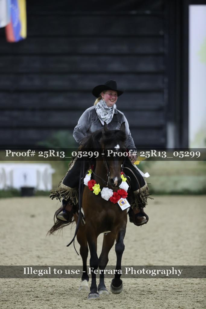 Proof Number 25R13_05299