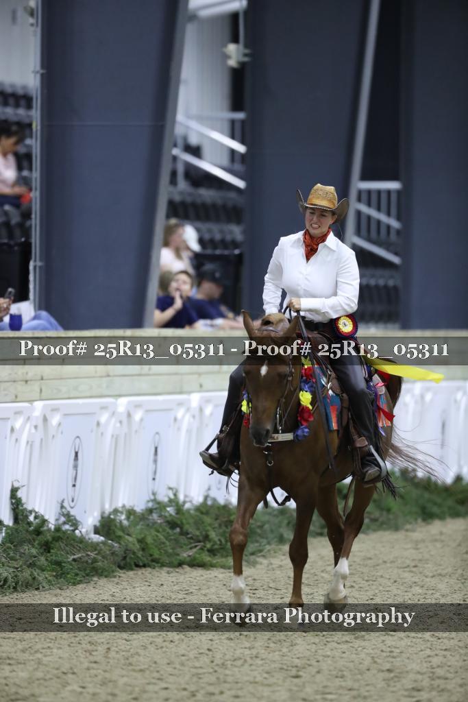 Proof Number 25R13_05311