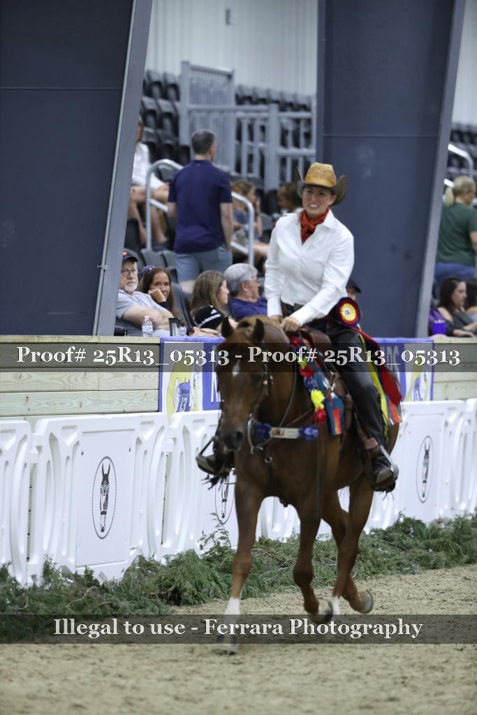 Proof Number 25R13_05313