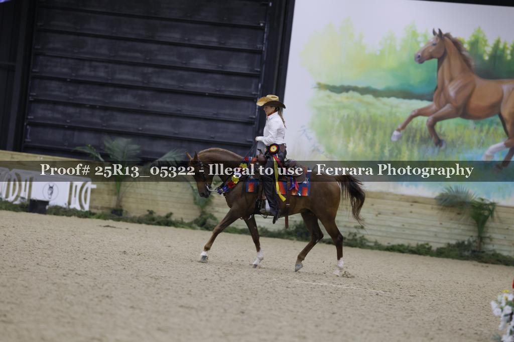 Proof Number 25R13_05322