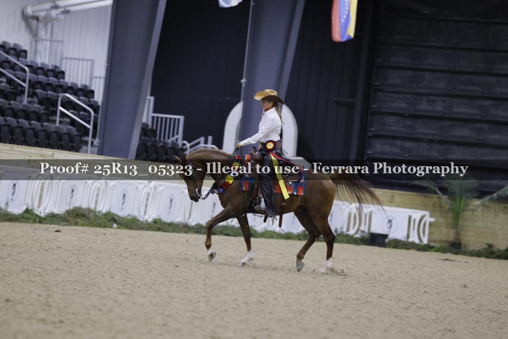 Proof Number 25R13_05323