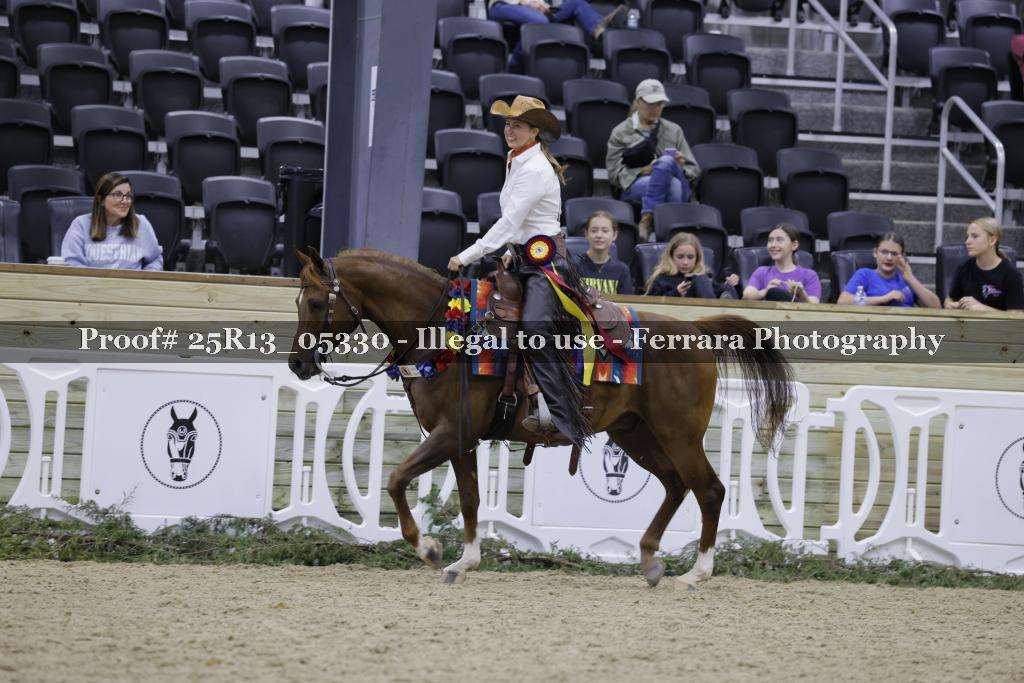 Proof Number 25R13_05330