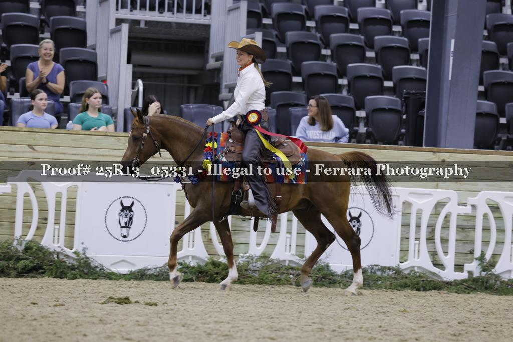 Proof Number 25R13_05331