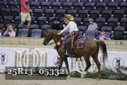 25R13_05332 thumbnail