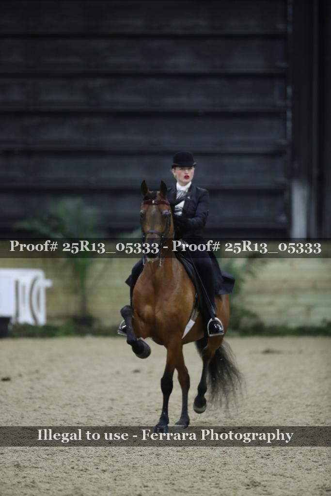 Proof Number 25R13_05333