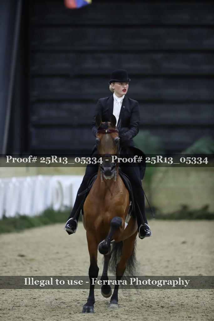 Proof Number 25R13_05334