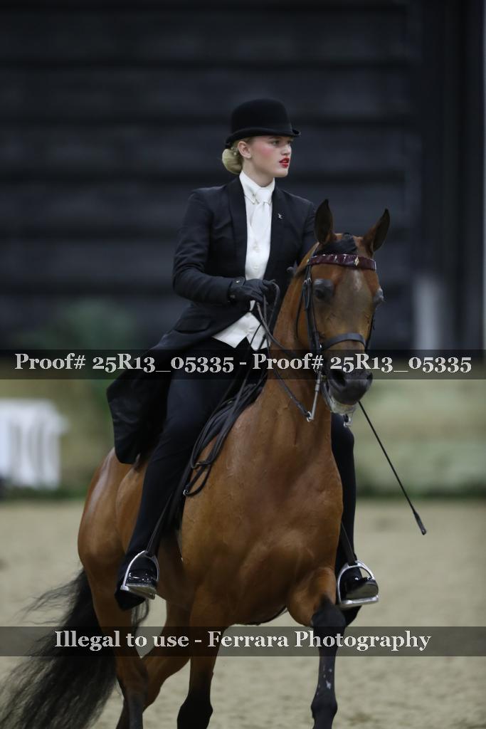 Proof Number 25R13_05335