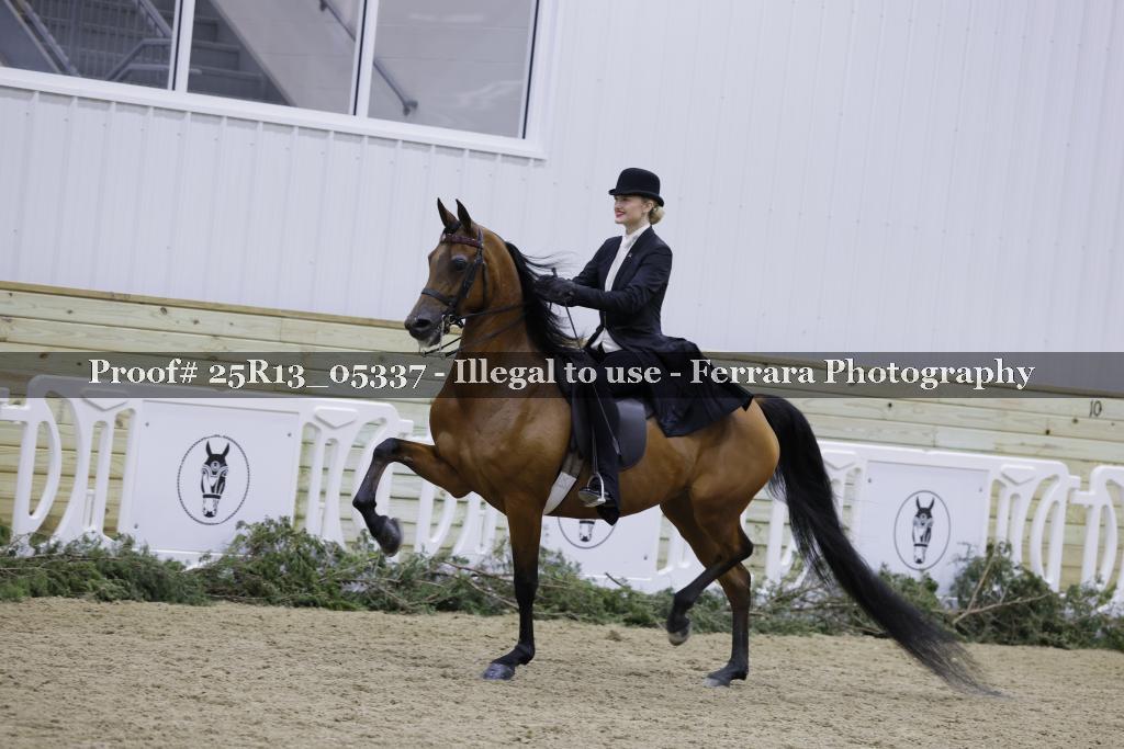 Proof Number 25R13_05337