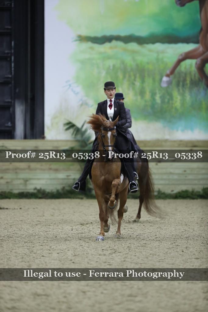 Proof Number 25R13_05338