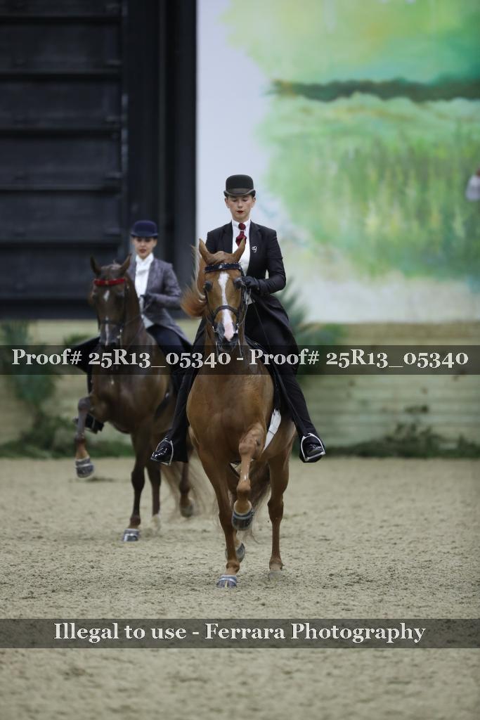 Proof Number 25R13_05340