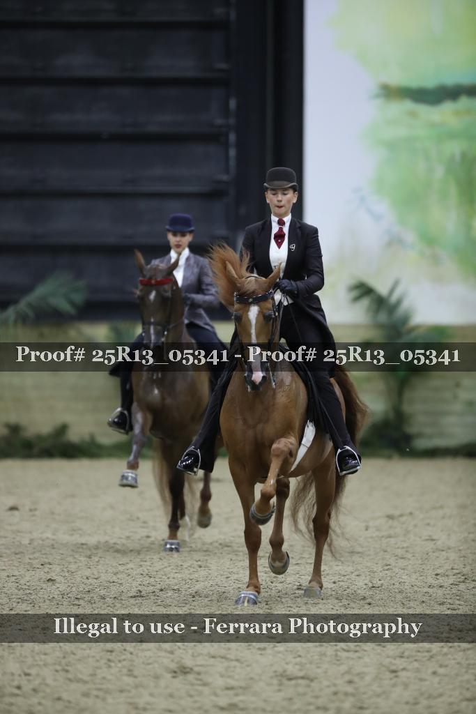 Proof Number 25R13_05341
