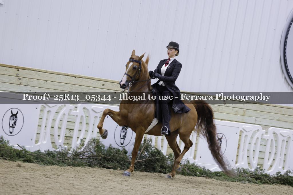 Proof Number 25R13_05344