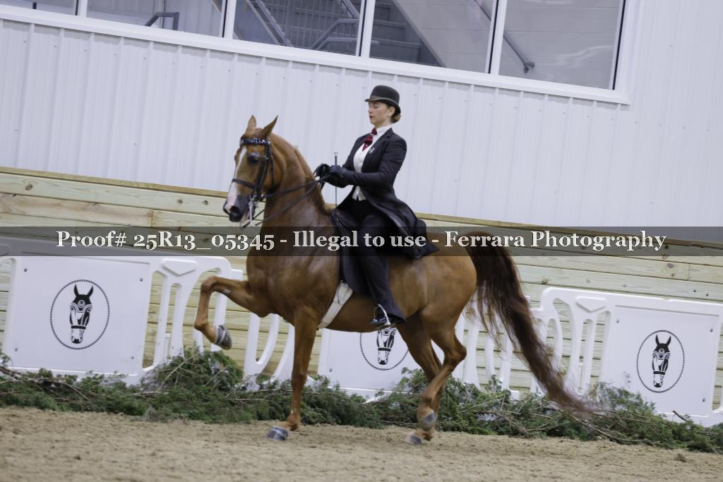 Proof Number 25R13_05345
