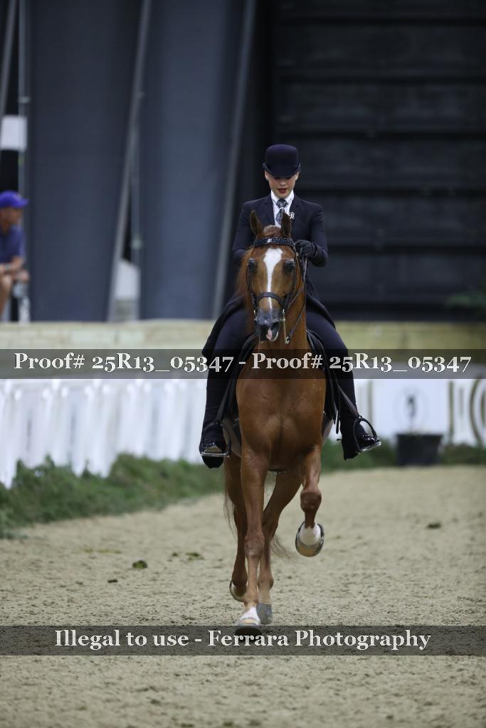 Proof Number 25R13_05347