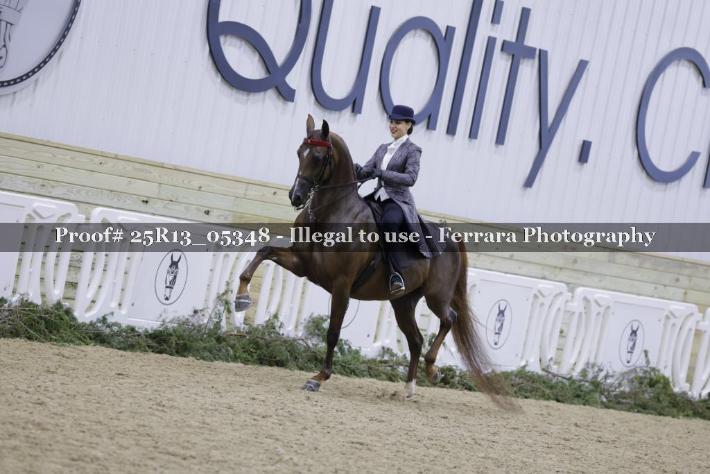 Proof Number 25R13_05348
