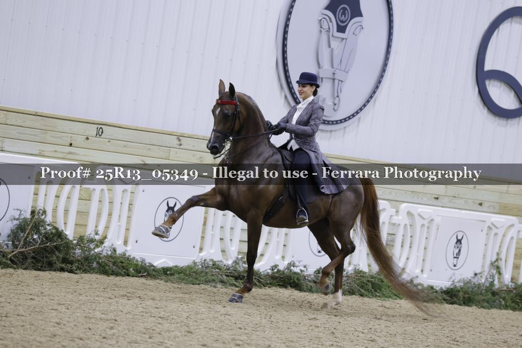 Proof Number 25R13_05349