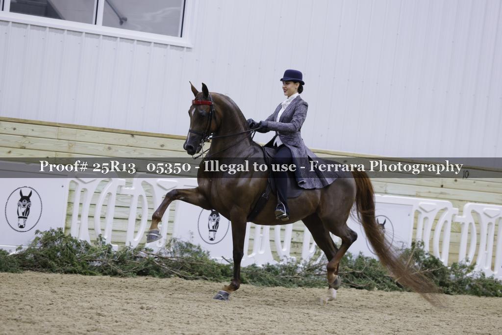 Proof Number 25R13_05350