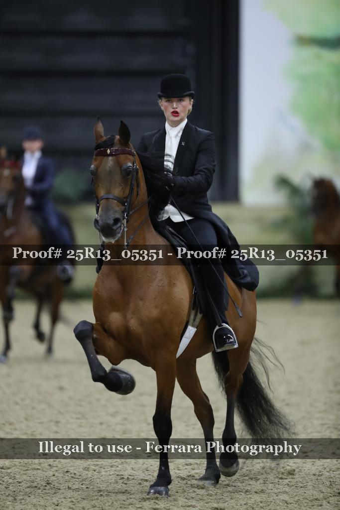 Proof Number 25R13_05351