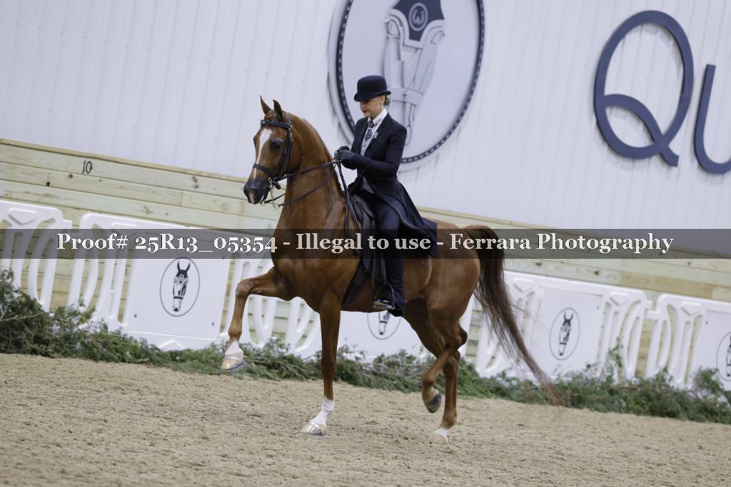 Proof Number 25R13_05354