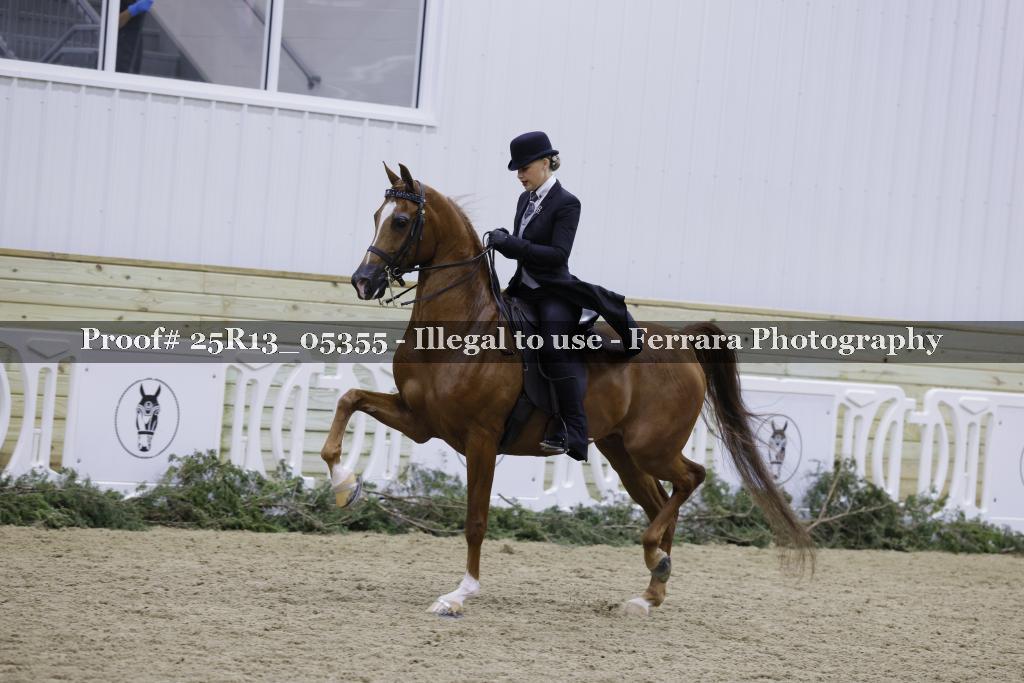 Proof Number 25R13_05355