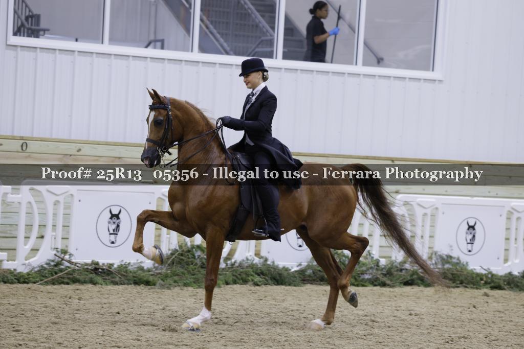 Proof Number 25R13_05356