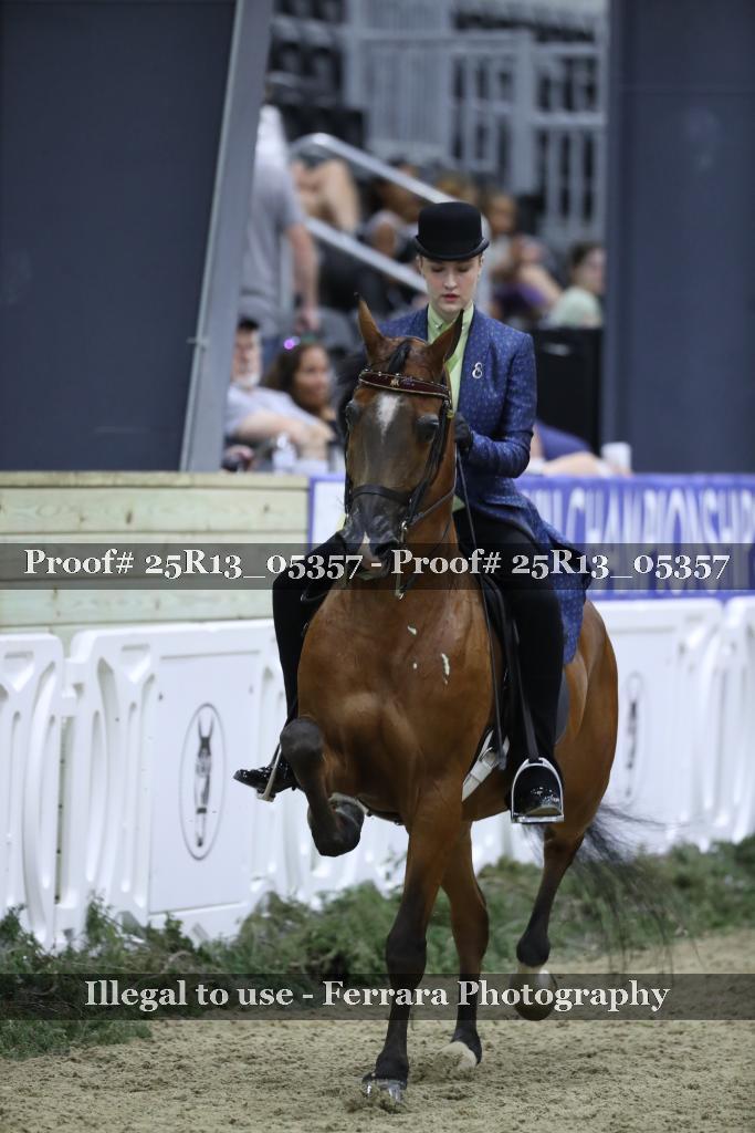 Proof Number 25R13_05357