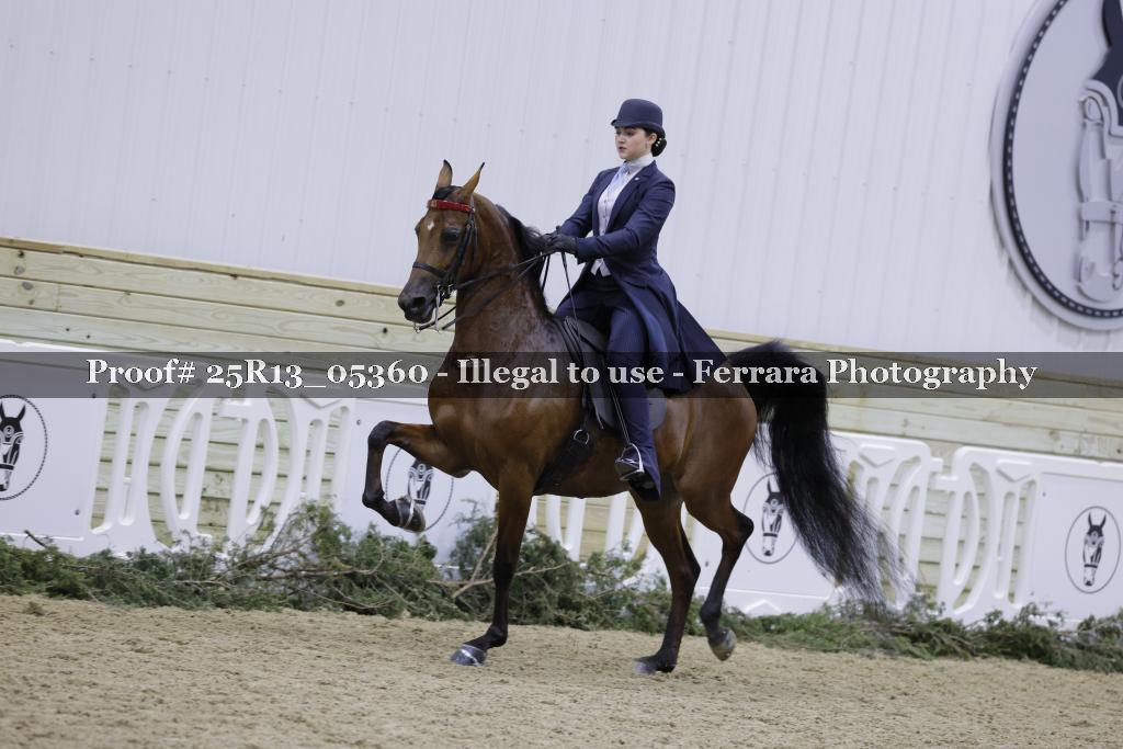 Proof Number 25R13_05360