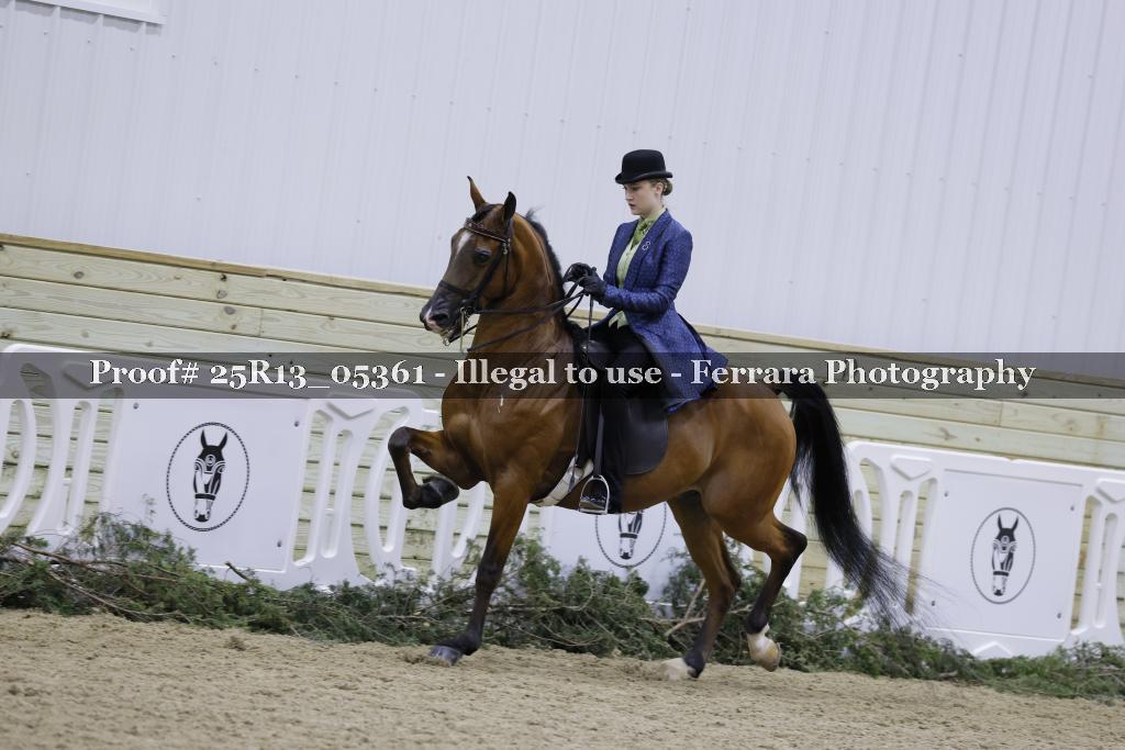 Proof Number 25R13_05361