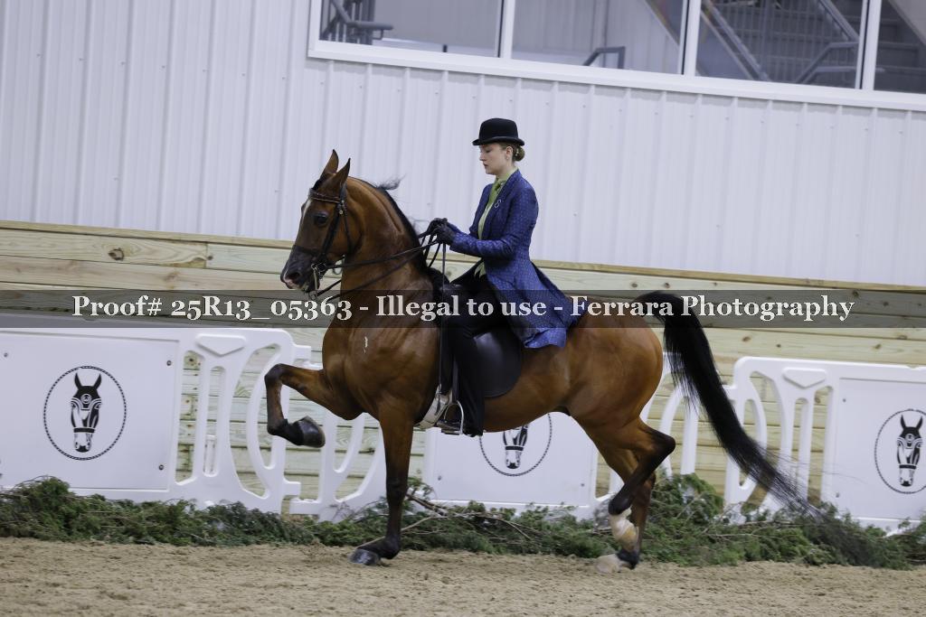 Proof Number 25R13_05363