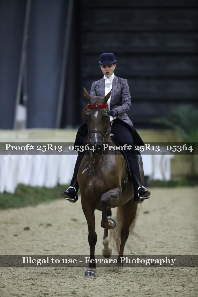 Proof Number 25R13_05364