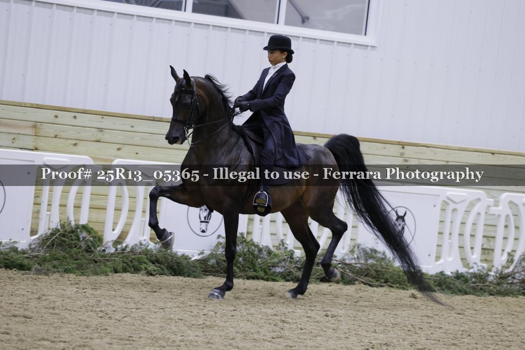 Proof Number 25R13_05365